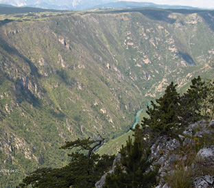 kanjonTare